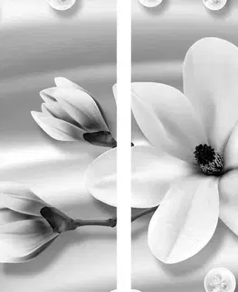Černobílé obrazy 5-dílný obraz luxusní magnolie s perlami v černobílém provedení