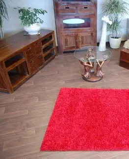 Koberce a koberečky Dywany Lusczow Kusový koberec SHAGGY Izebelie 5cm bordó, velikost 400x600