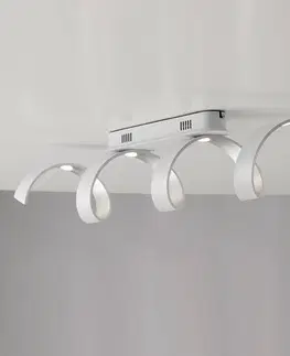 Stropní svítidla Eco-Light LED stropní svítidlo Helix bílá-stříbrná