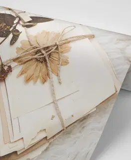 Samolepící tapety Samolepící fototapeta sbírka starých listů