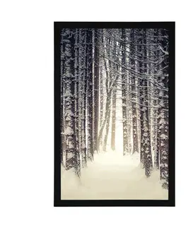 Příroda Plakát les zahalený sněhem
