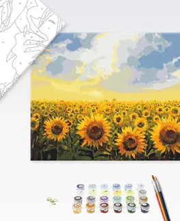 Květy Malování podle čísel květiny slunečnic