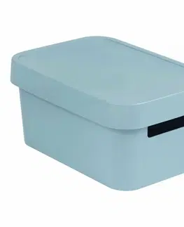 Úložné boxy Curver Úložný box s víkem INFINITY 4,5 l, šedá