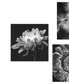 Sestavy obrazů Set obrazů černobílé něžné květiny
