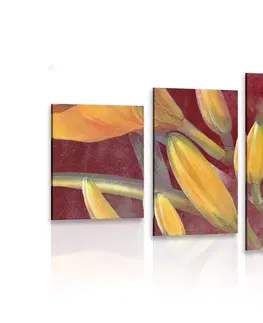 Obrazy květů 5-dílný obraz probuzení oranžové lilie
