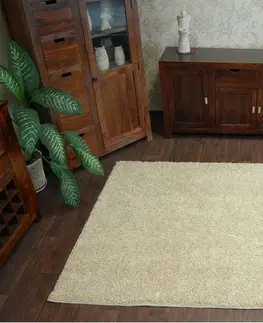 Koberce a koberečky Dywany Lusczow Kusový koberec SHAGGY Izebelie 5cm česnekový, velikost 120x170