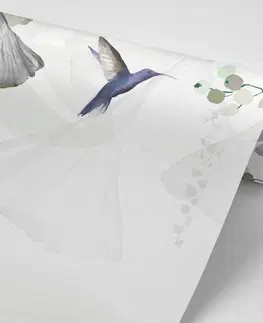 Samolepící tapety Samolepící tapeta listy s kolibříky v šedo-zeleném
