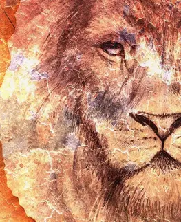 Obrazy zvířat Obraz tvář lva