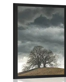 Příroda Plakát osamělé stromy