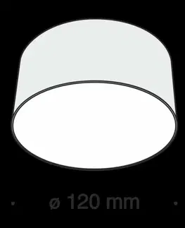 LED stropní svítidla MAYTONI Stropní svítidlo Zon C032CL-L12B4K