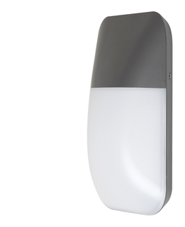 Zahradní lampy Rabalux Rabalux 7996 - LED Venkovní nástěnné svítidlo ECUADOR LED/10W/230V IP65 800lm 