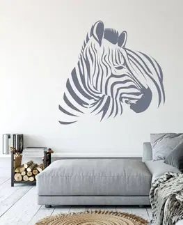 Samolepky na zeď Samolepka na zeď - Zebra ve vlastní barvě