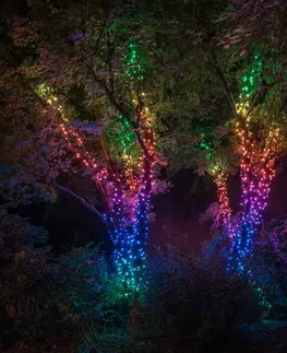 Světelné venkovní řetězy twinkly Světelný řetěz Twinkly RGB, černý, 250 žárovek 20m