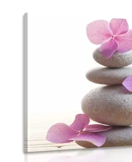 Obrazy Feng Shui Obraz balanc kamenů a růžové orientální květy