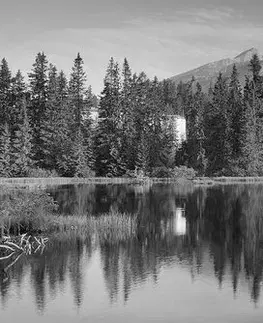 Černobílé obrazy Obraz nádherné panorama hor u jezera v černobílém provedení