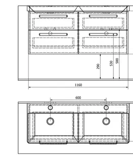 Koupelnový nábytek SAPHO THEIA dvojumyvadlová skříňka 116x50x44,2cm, 4xzásuvka, bílá TH120-3030