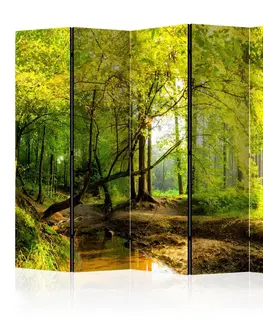 Paravány Paraván Forest Clearing Dekorhome 225x172 cm (5-dílný)