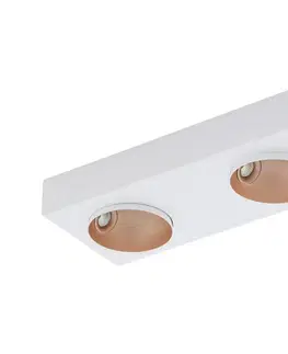 Svítidla Eglo Eglo 39374 - LED Stmívatelné stropní svítidlo RONZANO 2xLED/3,3W/230V 
