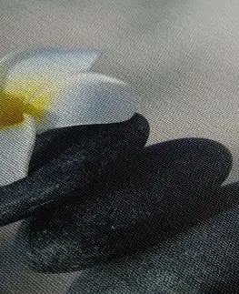 Obrazy Feng Shui Obraz harmonické kameny a květ plumerie