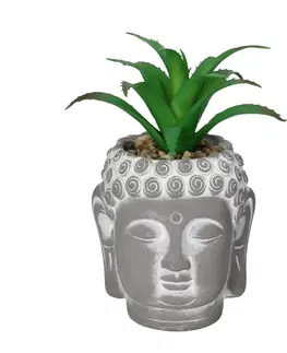 Umělé květiny Dekorace Aloe Buddha 17cm