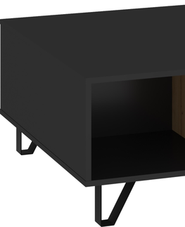 Konferenční stolky Konferenční stolek PRUDHOE 2D, černá/dub artisan, 5 let záruka