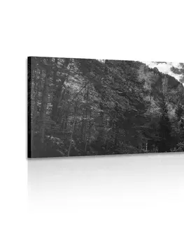 Černobílé obrazy Obraz černobílá horská krajina