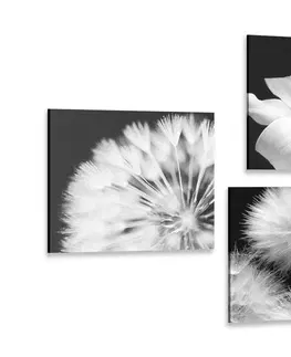 Sestavy obrazů Set obrazů černobílá krása květin s motýlem