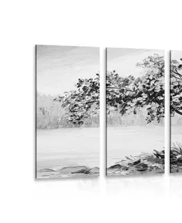 Černobílé obrazy 5-dílný obraz orientální třešeň v černobílém provedení