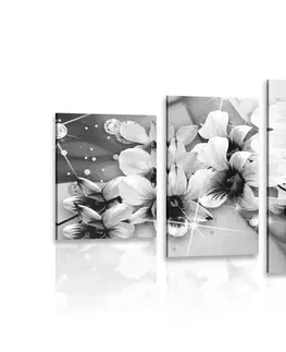 Černobílé obrazy 5-dílný obraz černobílé květiny na abstraktním pozadí