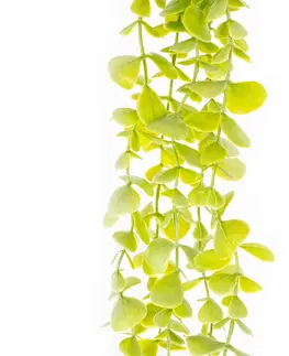 Květiny Umělý keřík drobnolistý Eukalyptus, sv. zelená, 120 cm