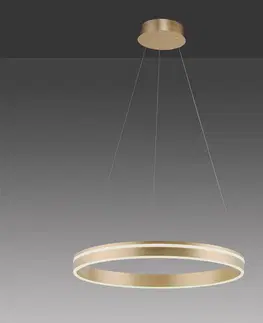 Inteligentní lustry Q-Smart-Home Paul Neuhaus Q-VITO LED závěsné světlo, 1 kruh