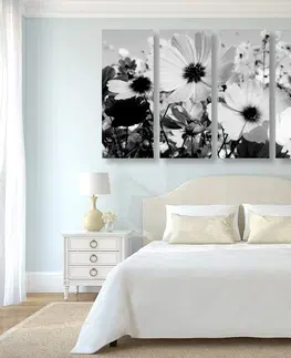 Černobílé obrazy 5-dílný obraz louka jarních květin v černobílém provedení