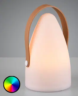 Venkovní dekorativní svítidla Reality Leuchten Venkovní ozdobná lampa Haiti s baterií RGB