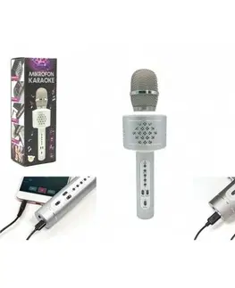 Dřevěné hračky Teddies Mikrofon karaoke Bluetooth, stříbrná, na baterie, s USB kabelem