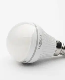 LED žárovky LED mini globe žárovka LumiDas-BL 3,7W E14 2900K 230V