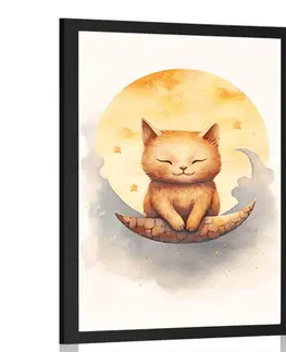 Zasněná zvířátka Plakát zasněná kočka