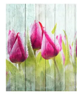 Tapety květiny Fototapeta Tulipány na bílém dřevě - tulipány on white wood