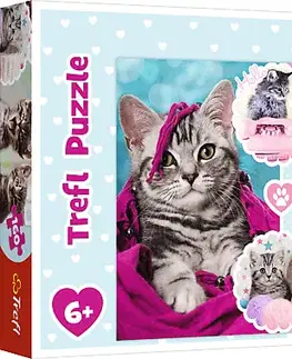 Hračky puzzle TREFL - Puzzle 160 - Rozkošná koťata