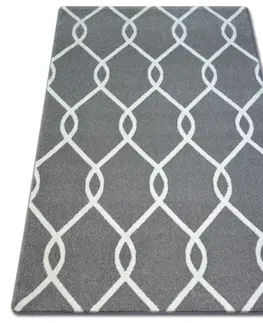 Koberce a koberečky Dywany Lusczow Kusový koberec SKETCH MARK šedý / bílý trellis, velikost 200x290