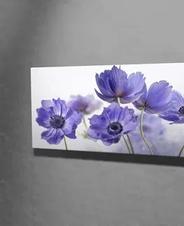 Obrazy Wallity Obraz na plátně Violet beauty PC028 30x80 cm
