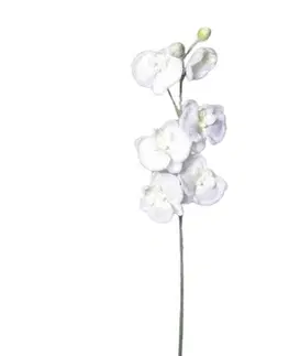 Květiny Umělá zasněžená Orchidej bílá, 81 cm