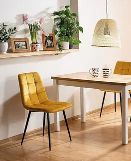 Dřevěné jídelní stoly Signal Jídelní stůl ADAM | 100 x 60 cm Barva: bílý mat