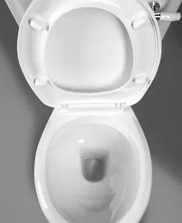 WC sedátka AQUALINE ANTIK WC kombi retro + sedátko, bílá AK107-01
