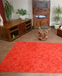 Koberce a koberečky Dywany Lusczow Kusový koberec SERENADE Hagy červený, velikost 100x200