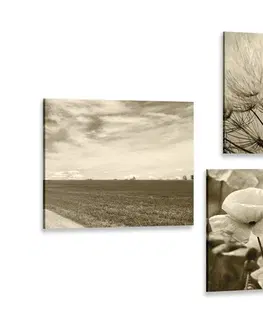 Sestavy obrazů Set obrazů sépiová krajina s květinami