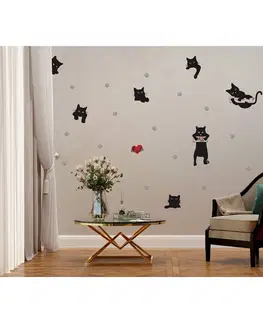 Samolepky na zeď Samolepící dekorace Cats, 42,5 x 65 cm