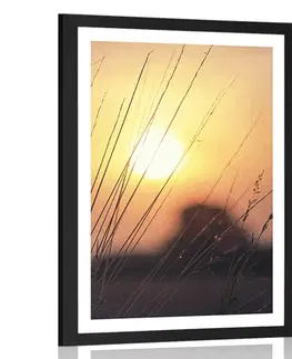 Příroda Plakát s paspartou východ slunce nad loukou