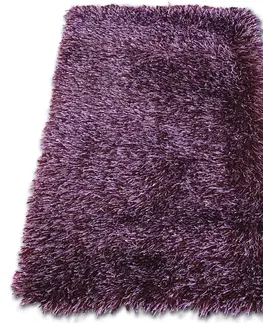 Koberce a koberečky Dywany Lusczow Kusový koberec LOVE SHAGGY fialový, velikost 200x290
