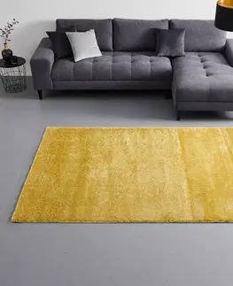Hladce tkaný koberce Tkaný koberec Rubin 2 Neu, Š/d: 120/170cm