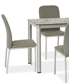 Jídelní stoly Jídelní stůl NEFON 100x60 cm, šedá